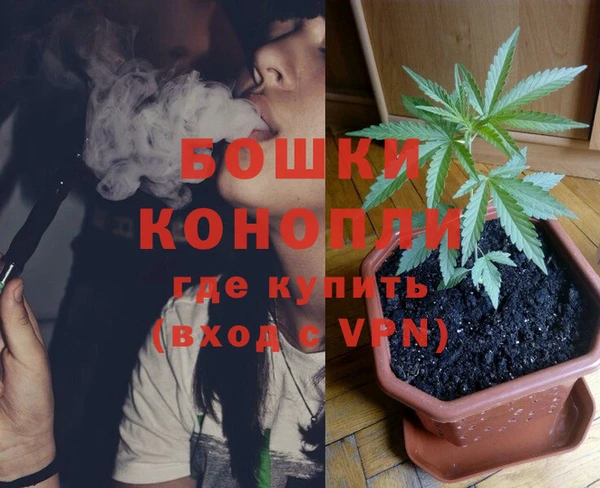 сатива Елабуга