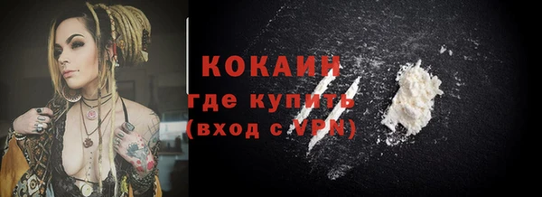 сатива Елабуга