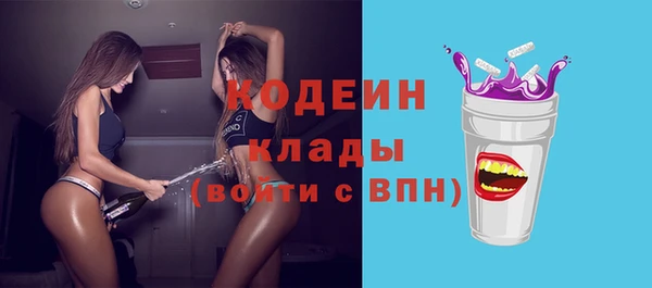 таблы Ельня