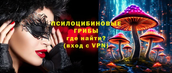 МДМА Елизово