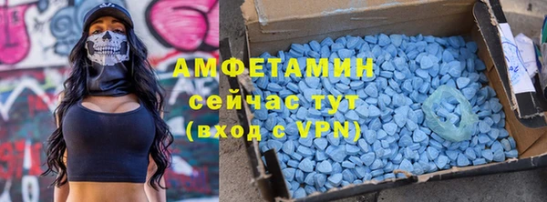 таблы Ельня