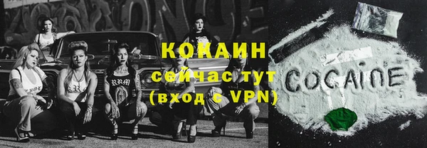 таблы Ельня